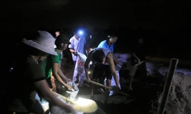 Mục kích hàng trăm người dầm mưa hộ đê ở Hà Nội trong đêm