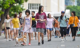 Chó không rọ mõm tung tăng trên phố đi bộ hồ Gươm