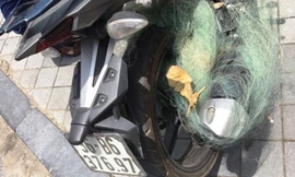 Một xe vi phạm bị dính lưới của CSGT Công an TP Thanh Hóa, tỉnh Thanh Hóa Ảnh: THANH TUẤN