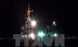 (Ảnh minh họa: Xuân Nguyên/TTXVN)