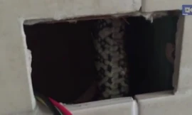 Ảnh cắt từ clip