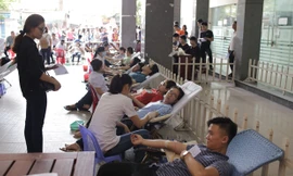 Hàng trăm sinh viên nhiệt tình thực hiện nghĩa cử cao đẹp hiến máu cứu người. 