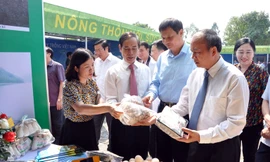 Ông Trần Văn Vinh, Phó Bí thư Thường trực Tỉnh ủy, Chủ tịch HĐND tỉnh và ông Nguyễn Văn Trì, Phó Bí thư Tỉnh ủy, Chủ tịch UBND tỉnh cùng các đại biểu tham quan sản phẩm Nấm Phùng Gia, huyện Bình Xuyên