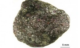 Hòn đá chứa 30.000 viên kim cương. Ảnh: Larry Taylor