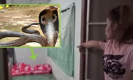 Suthamat nói rằng cô đang nằm trên giường thì thấy con rắn
