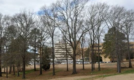 Đại học Mississippi - nơi hơn 1.000 xác chết được phát hiện. Ảnh: USA Today 