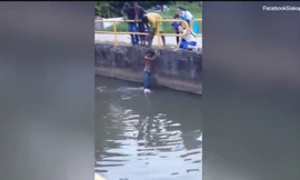 Chàng trai quên mình cứu chú chó giữa sông khiến nhiều người xúc động