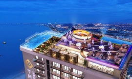 Tập đoàn TMS và hành trình kiến tạo tuyệt tác bên bờ biển Mỹ Khê