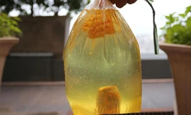 Hai miếng khoai, ngô ngâm trong dung dịch nước pha bột thông cống sau 30 phút chuyển thành màu vàng, chạm tay vào khá nóng.