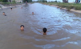 Hà Nội: Thỏa sức vùng vẫy ở 'bãi tắm' độc nhất vô nhị dài hàng km