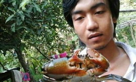 Anh Khê giữ lại cua 3 càng để nuôi làm cảnh. Ảnh: Việt Tường.