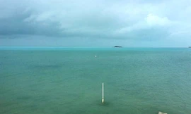 Cảnh tượng kỳ quái khi bão Irma rút cạn nước biển