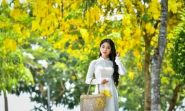 'Hot girl tráng bánh mướt' xứ Nghệ đẹp dịu dàng dưới tán hoàng yến