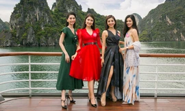 Đánh răng ít nhất 2 lần mỗi ngày sau các bữa ăn và trước khi đi ngủ sẽ giúp răng chắc khoẻ và trắng đẹp như các thí sinh Hoa hậu Việt Nam