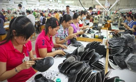 Mở rộng và làm sâu sắc hơn nữa quan hệ hợp tác Việt Nam – Mỹ Latinh