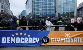 Người dân châu Âu biểu tình phản đối việc tiếp tục sử dụng chất diệt cỏ glyphosate. Ảnh: Reuters