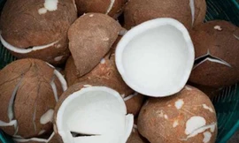 Bí quyết chống ung thư, ngừa vô sinh bằng dừa khô