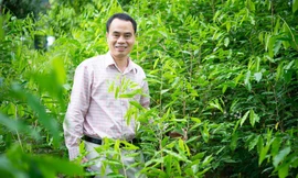 Nguyễn Văn Tưởng, Chủ tịch công Ty Trầm Hương Khánh Hoà