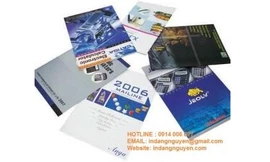 Dịch vụ in tờ rơi chuyên nghiệp – chất lượng cao tại Hà Nội 