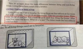 Nội dung trong cuốn sách bao gồm cả hình ảnh. 