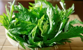 Cây dược liệu chữa đau khớp có sẵn trong vườn nhà