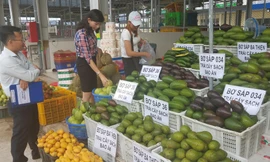 Nhiều loại nông sản bày bán tại chợ nông sản Dầu Giây