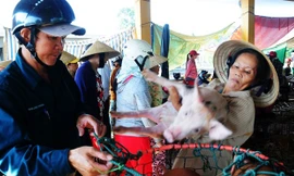 Nghề bế heo thuê ở chợ Bà Rén