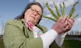 Nhà tiên tri Jemima Packington.