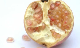 Lựu - Ảnh: Hạ Huy