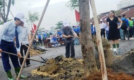 Lãnh đạo Sở GTVT TPHCM cùng thiếu nhi quận 2 trồng cây sáng 10/6.