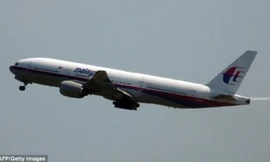 Máy bay MH370 của hãng hàng không Malaysia Airlines biến mất vào tháng 3-2014 với 239 người trên khoang. Ảnh: DailyMail