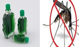 Mẹo hay để muỗi tự 'cao chạy xa bay'