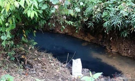 Khu vực nước đầu nguồn bị ô nhiễm. Ảnh: Trần Thường