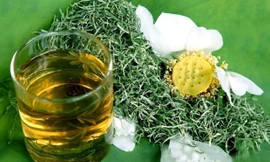 Công dụng chữa bệnh và làm đẹp hiệu quả của lá sen