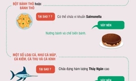 Bà bầu nên có chế độ ăn uống thế nào?