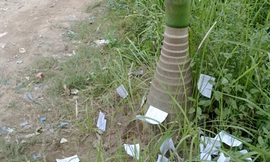 'Phao' thi vẫn xuất hiện