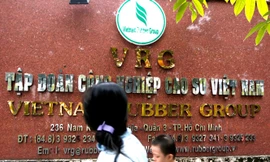 Điều tra cựu sếp Tập đoàn Cao su góp vốn vào Cty 'sân sau'