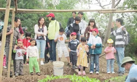 Dịch vụ chăm, dạy trẻ dịp hè