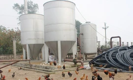 Công trình tiền tỉ thành nơi… nuôi gà