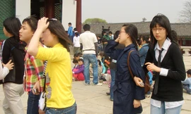 Nữ thanh niên Hàn Quốc mải lo sự nghiệp. Ảnh: T.Đ