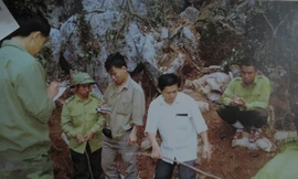 Đoàn công tác đo đếm tại hiện trường của 3 cây huê bị đốn hạ