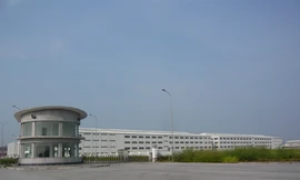 Khó quản vì luật quá thoáng