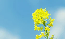 Thứ bảy của bạn (27-8)