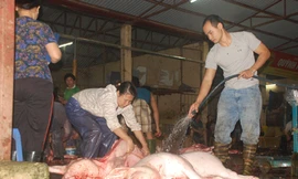 Người dân Hà Nội chủ yếu vẫn ăn thịt từ những cơ sở giết mổ không đảm bảo vệ sinh Ảnh: Phạm Anh