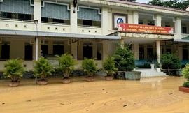 Một trường học ở Lâm Đồng có nguy cơ bị vùi lấp do đồi cao 70m sạt lở