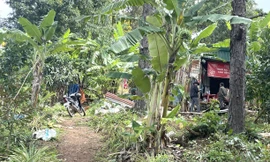 Vụ bé gái 2 tuổi mất tích bí ẩn ở Lâm Đồng: Huy động gần 100 người tìm kiếm