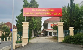 Điều động 5 lãnh đạo cấp sở ở Lâm Đồng về công tác tại xã, phường 