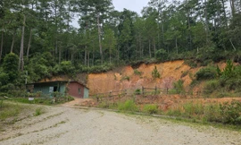 Hơn 9 tỉ đồng khắc phục sạt lở trong Khu du lịch hồ Tuyền Lâm