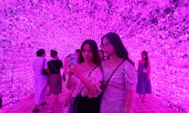 Hàng nghìn du khách đổ về thưởng ngoạn không gian ánh sáng bên sông Hàn