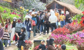 Măng Đen đón hàng trăm nghìn lượt du khách dịp Tết